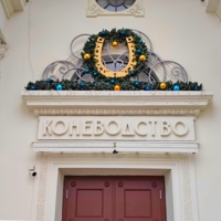 Хоть здесь сапожник с сапогами!