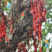 Красный цвет- счастье и защита от злых духов.