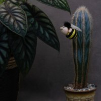 Не кусаюсь, но боюсь.