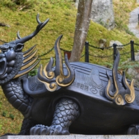 Черепаха - символ мудрости и долголетия.