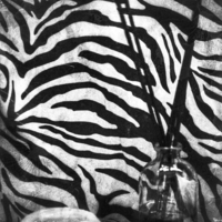 Есть черное. Есть белое.