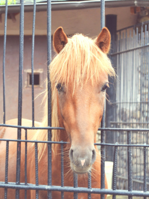 МарияНекрасова