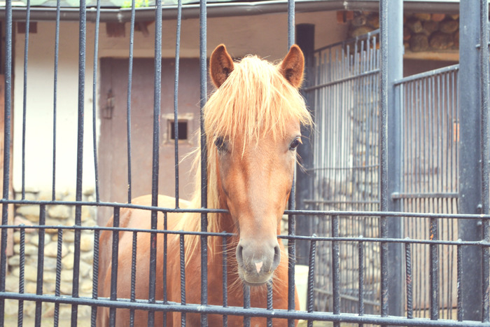 МарияНекрасова