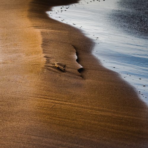 Портрет песчанного человека