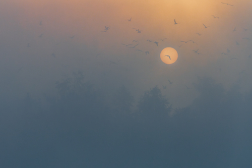 Немного Хичкока