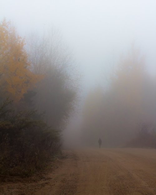 В осенней мгле