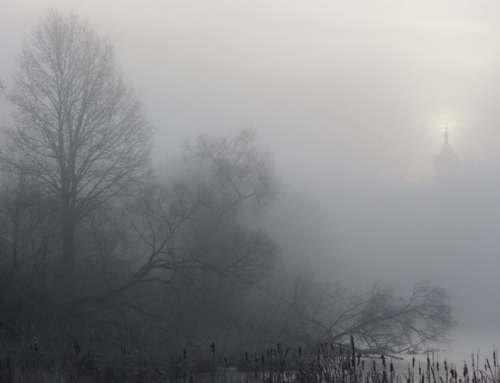 Цикл жизни...