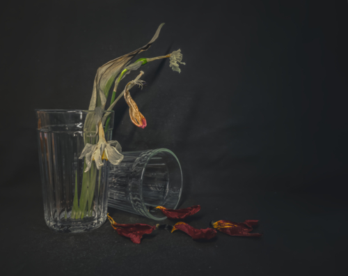 Последний лепесток