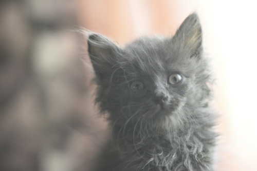 Что такое красота?