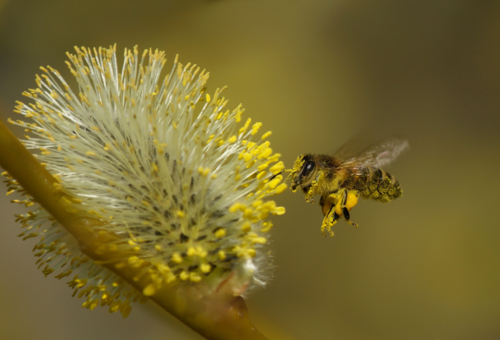 Полные карманы