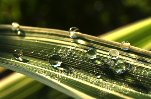 Идеальная форма