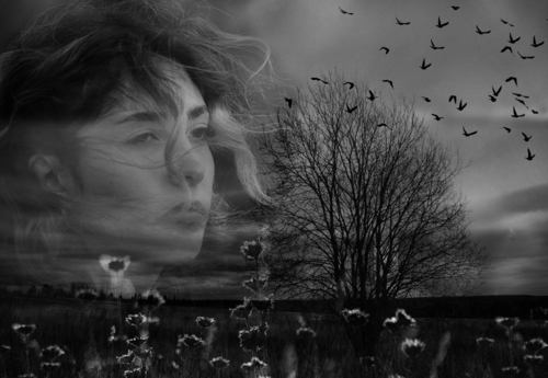 Снова птицы в стаи собираются...