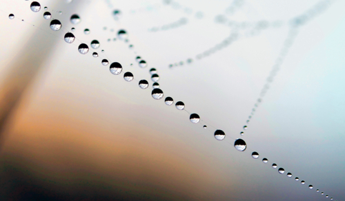 Из ночи протянулись в утро