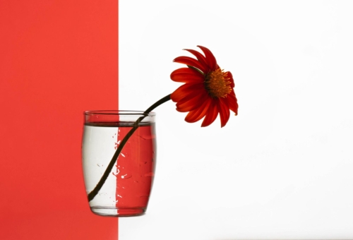 Геометрический этюд