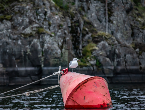 Хозяйка бакена
