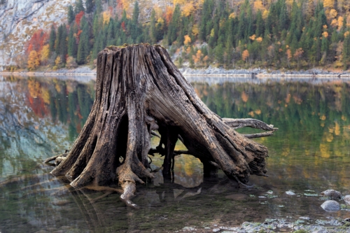 Старый, но гордый!