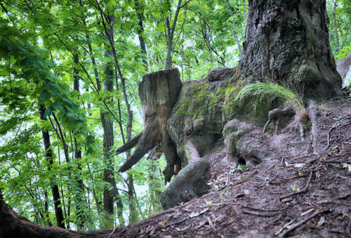 Привиделось - почудилось....