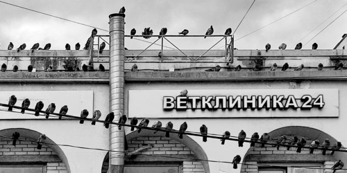 Кто крайний?