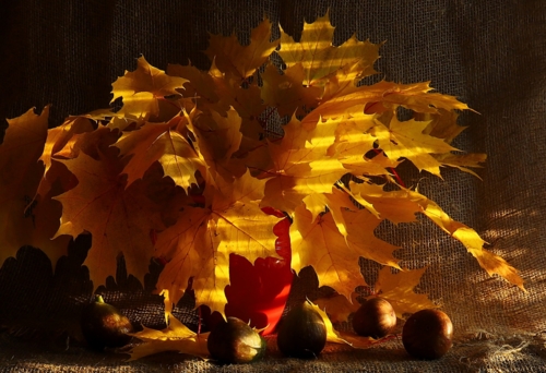 Осенний с инжиром