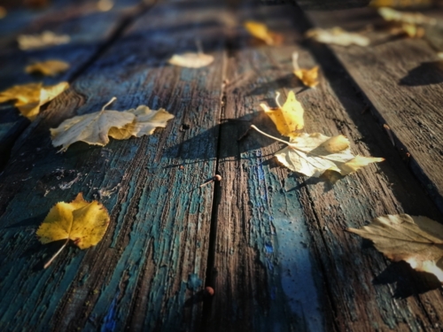 Письмо в пустоту