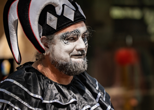 Трудные будни шута