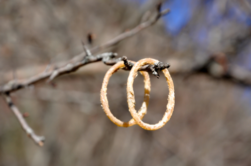 два кусочека колбаски